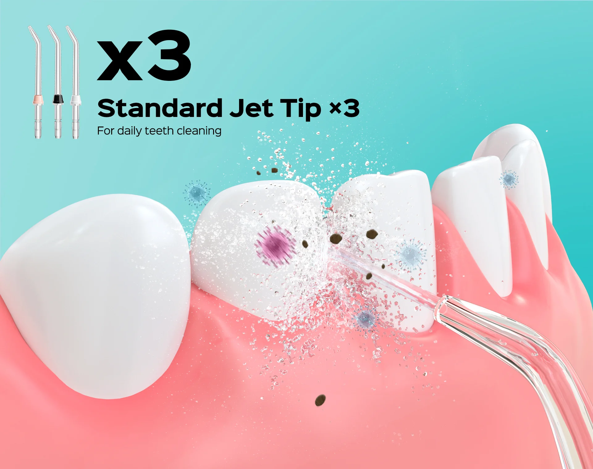 E1 Water Flosser Tip Replacement Heads - Image 6